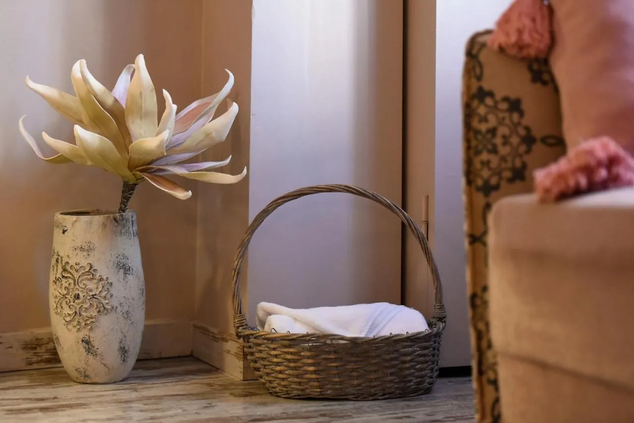 Apartament Purrfect & Dreamy - The Special Studio Bukareszt Rumunia